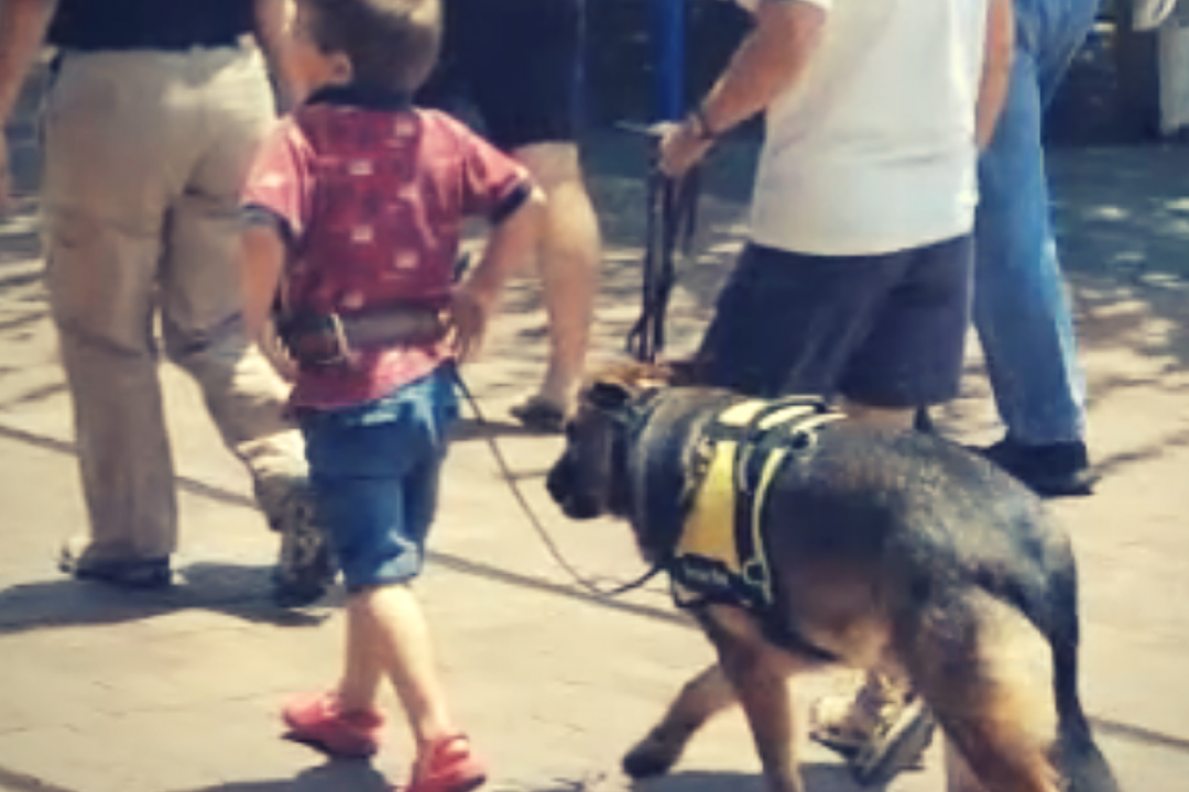 Service Dog Training Atlanta GA Canton GA Charleston SC